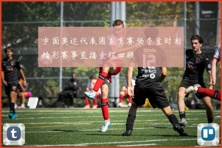 中国奥运代表团东京赛场夺金时刻精彩赛事直播全程回顾