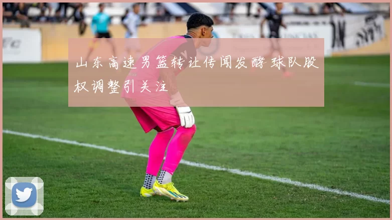 山东高速男篮转让传闻发酵 球队股权调整引关注