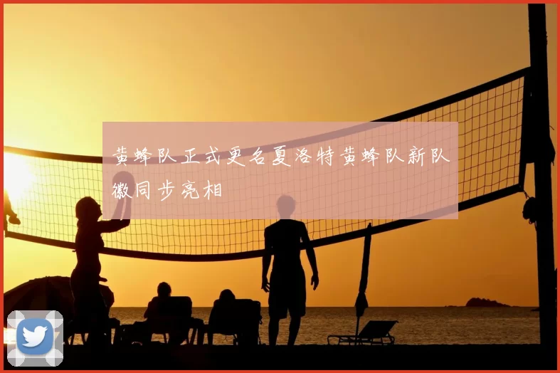 黄蜂队正式更名夏洛特黄蜂队新队徽同步亮相