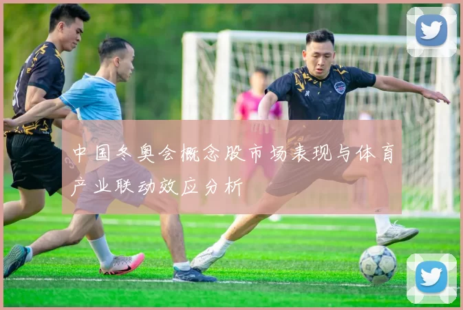 中国冬奥会概念股市场表现与体育产业联动效应分析